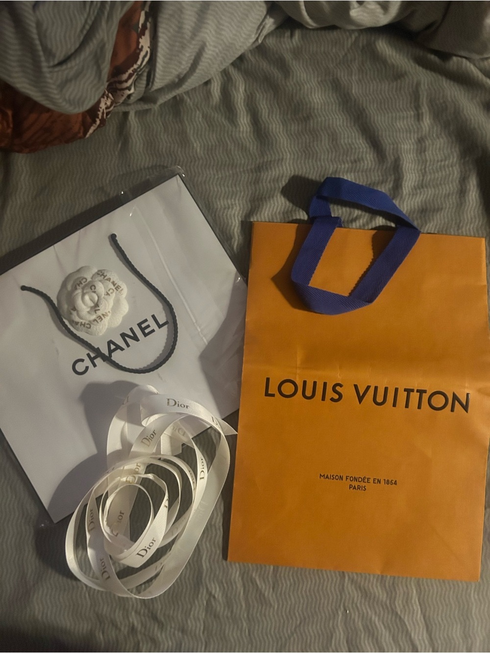 Louis Vuitton and Chanel Bag with Dior ribbon